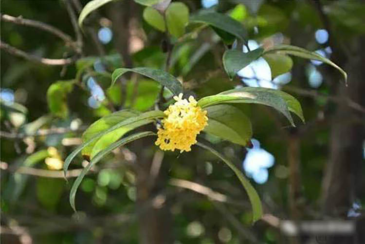 程力風(fēng)采：金秋九月，我在程力等您